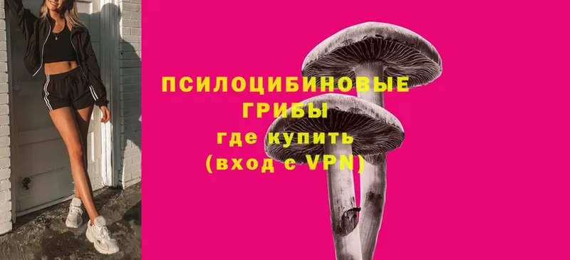 Псилоцибиновые грибы Psilocybine cubensis  гидра ссылки  Заречный 